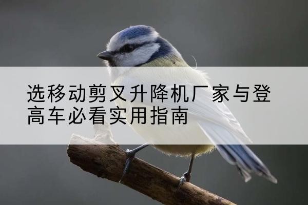 苏州电动升降机厂家-选移动剪叉升降机厂家与登高车必看实用指南