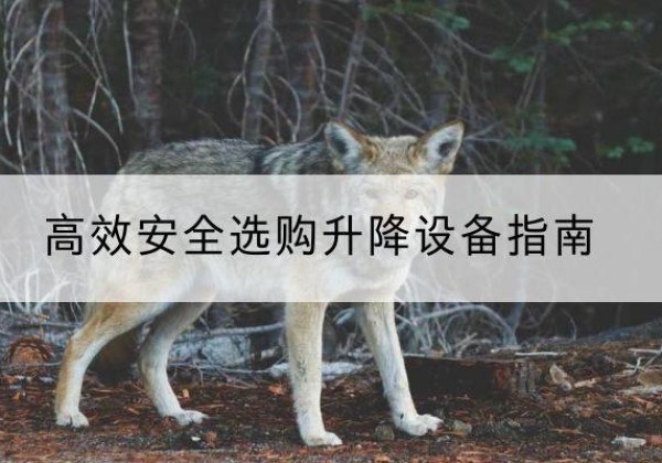 苏州升降货梯厂家推荐-*安全选购升降设备指南